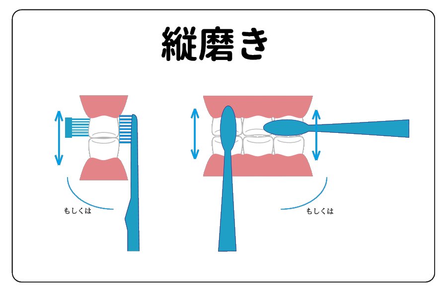 歯磨きの仕方